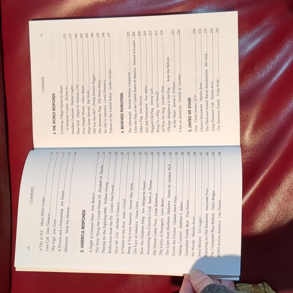 Chicken Soup for the Soul of America - Picture 9 of 10